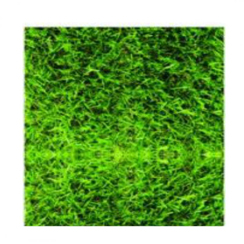 artificial grass 25mm